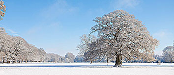 巴塞罗那击败实力强劲对手，晋级希望犹存