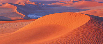 谁能成为胜者，只有实力才是最终胜利的关键